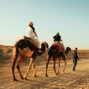 CAMEL RIDE 1H